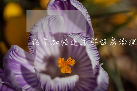 北京加强违法群租房治理新闻 北京加强违法群租房治理新闻