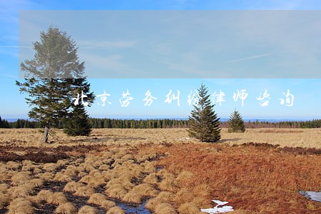 北京劳务纠纷律师咨询 北京劳务纠纷律师咨询