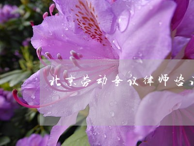 北京劳动争议律师咨询