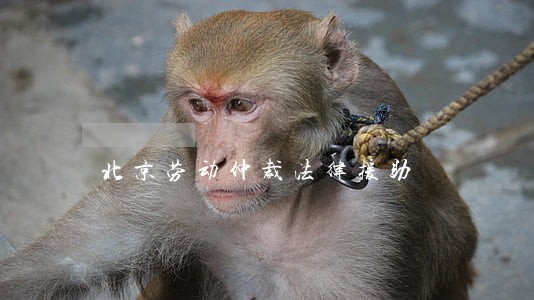 北京劳动仲裁法律援助
