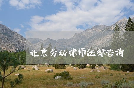 北京劳动律师法律咨询 北京劳动律师法律咨询