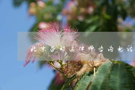 北京劳动法律师咨询电话 北京劳动法律师咨询电话