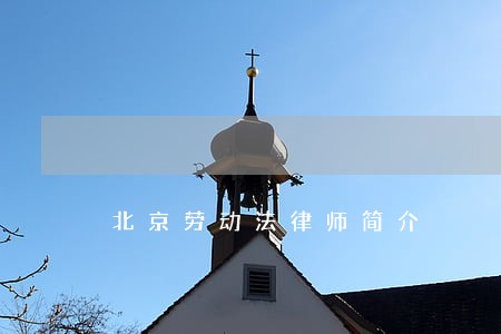 北京劳动法律师简介 北京劳动法律师简介