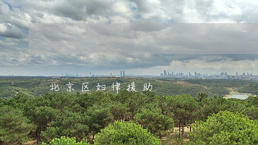 北京区妇律援助 北京区妇律援助