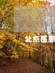 北京医患纠纷案律师事务所 北京医患纠纷案律师事务所
