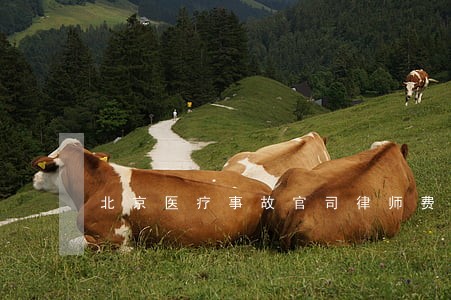 北京医疗事故官司律师费用 北京医疗事故官司律师费用