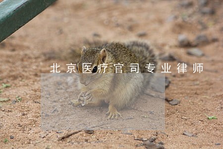 北京医疗官司专业律师 北京医疗官司专业律师