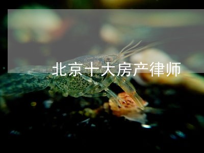 北京十大房产律师 北京十大房产律师