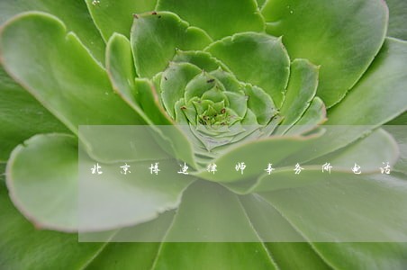 北京博迪律师事务所电话 北京博迪律师事务所电话