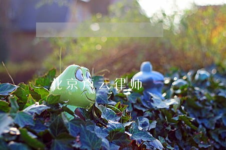 北京卢云律师 北京卢云律师