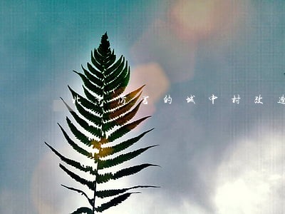 北京厉害的城中村改造律师 北京厉害的城中村改造律师