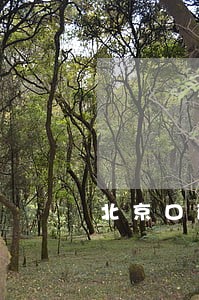北京口碑好的债务律师联系方式 北京口碑好的债务律师联系方式
