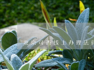 北京可否线上办理法律援助