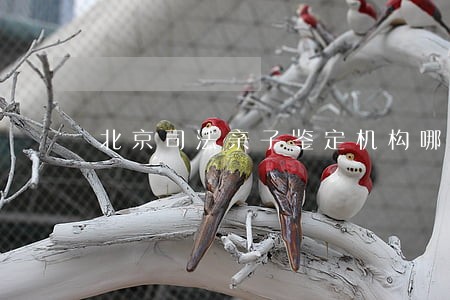 北京司法亲子鉴定机构哪家好 北京司法亲子鉴定机构哪家好