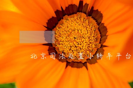 北京司法处置小轿车平台 北京司法处置小轿车平台