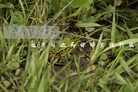北京司法局律师管理科柴磊 北京司法局律师管理科柴磊