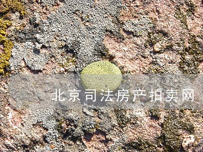 北京司法房产拍卖网 北京司法房产拍卖网