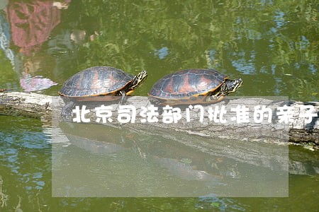 北京司法部门批准的亲子鉴定 北京司法部门批准的亲子鉴定