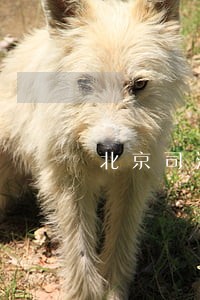 北京司法鉴定中心柳州 北京司法鉴定中心柳州