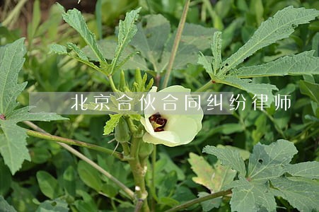 北京合伙合同纠纷律师 北京合伙合同纠纷律师