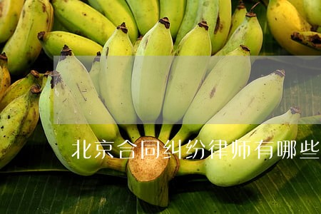 北京合同纠纷律师有哪些 北京合同纠纷律师有哪些