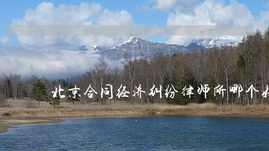 北京合同经济纠纷律师所哪个好