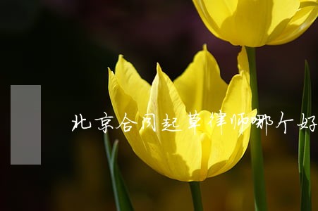 北京合同起草律师哪个好 北京合同起草律师哪个好