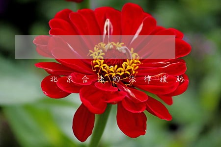 北京合法的法律援助 北京合法的法律援助