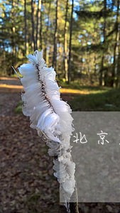 北京君途律师事务所 北京君途律师事务所