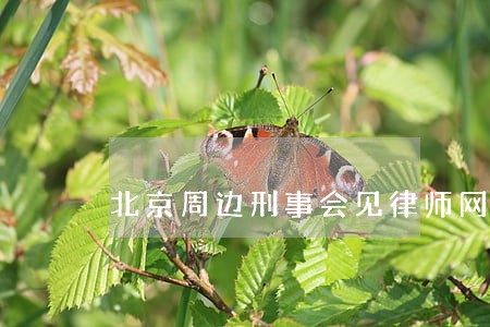 北京周边刑事会见律师网站 北京周边刑事会见律师网站