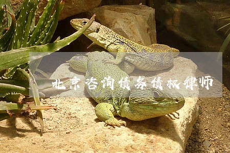 北京咨询债务债权律师 北京咨询债务债权律师