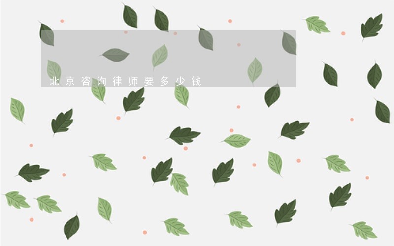 北京咨询律师要多少钱 北京咨询律师要多少钱