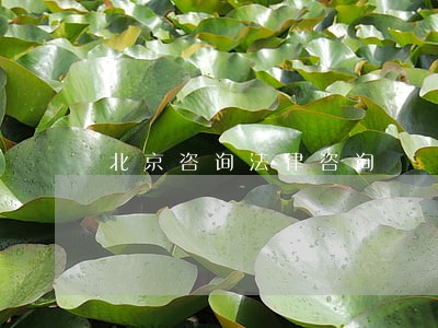 北京咨询法律咨询 北京咨询法律咨询
