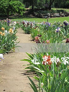 北京哪家律师所处理刑事案件最好 北京哪家律师所处理刑事案件最好