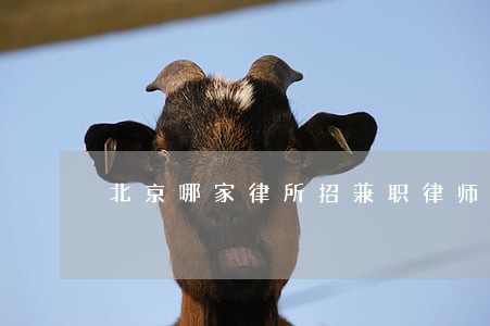 北京哪家律所招兼职律师 北京哪家律所招兼职律师