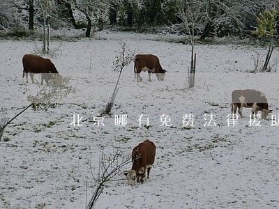北京哪有免费法律援助 北京哪有免费法律援助