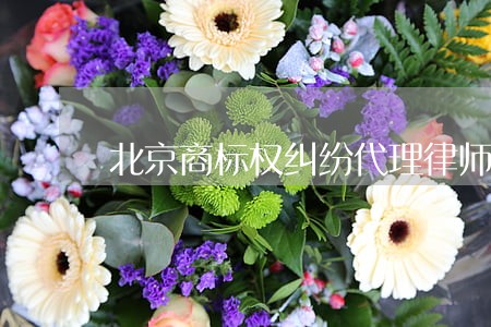 北京商标权纠纷代理律师 北京商标权纠纷代理律师