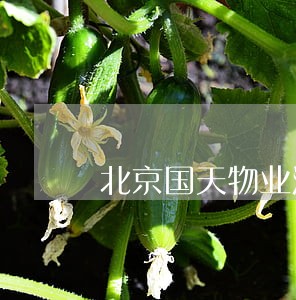 北京国天物业法律顾问郭丽 北京国天物业法律顾问郭丽