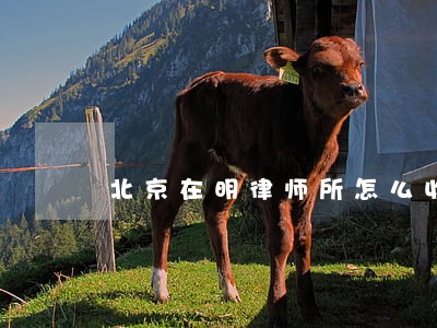 北京在明律师所怎么收费 北京在明律师所怎么收费