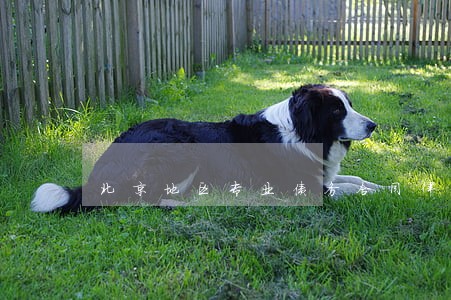 北京地区专业债务合同律师 北京地区专业债务合同律师
