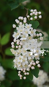 北京地区专业房产律师推荐