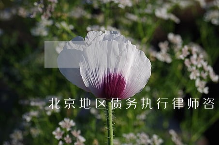 北京地区债务执行律师咨询热线 北京地区债务执行律师咨询热线