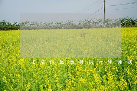 北京地区债务执行律师联系方式 北京地区债务执行律师联系方式