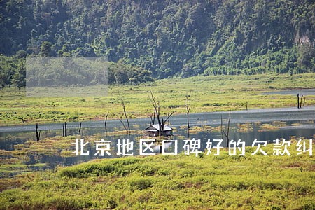 北京地区口碑好的欠款纠纷律师 北京地区口碑好的欠款纠纷律师