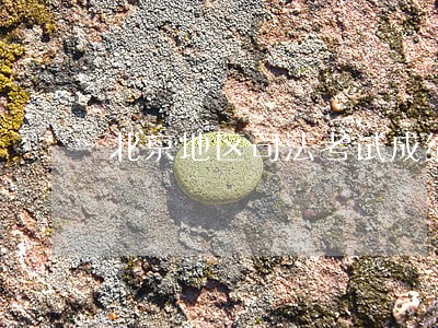 北京地区司法考试成绩单发放形式