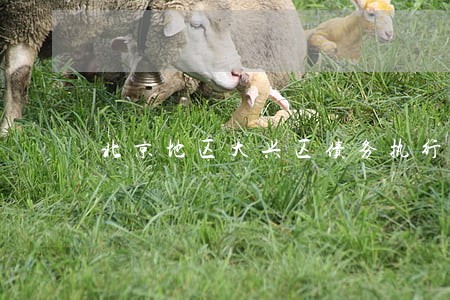 北京地区大兴区债务执行律师 北京地区大兴区债务执行律师