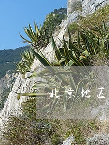 北京地区房产律师官司 北京地区房产律师官司