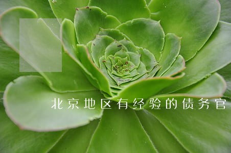 北京地区有经验的债务官司律师 北京地区有经验的债务官司律师
