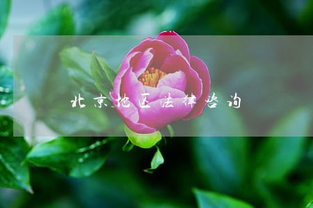 北京地区法律咨询