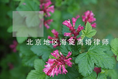 北京地区海淀离婚律师 北京地区海淀离婚律师